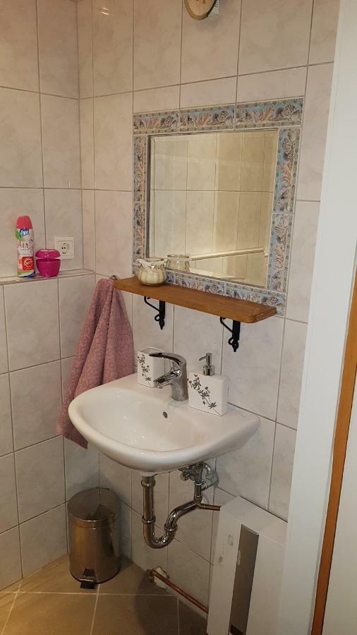 Willa Na Skarpie Oswiecim Bagian luar foto