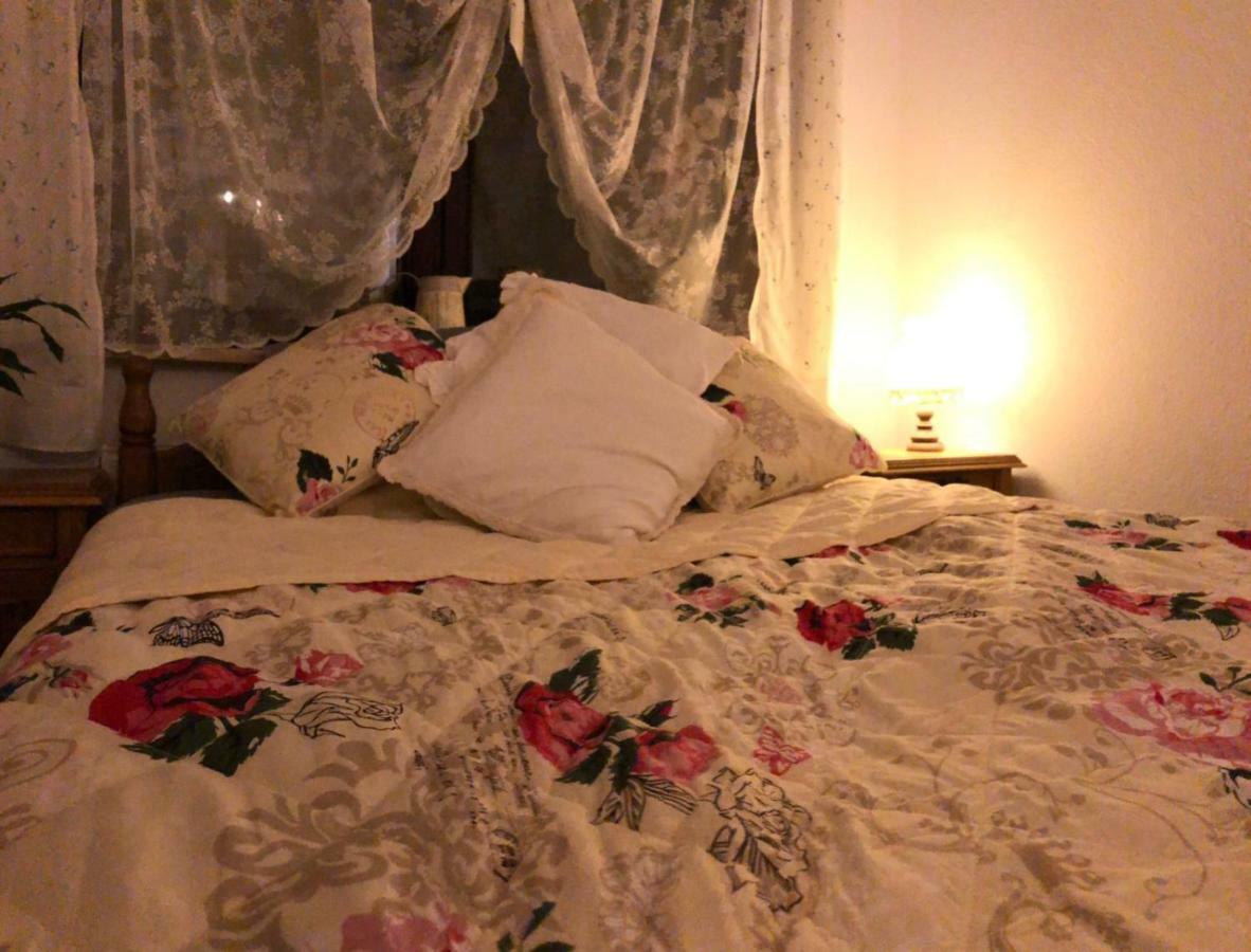 Willa Na Skarpie Oswiecim Bagian luar foto